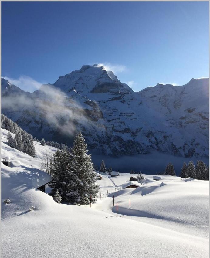 Sonnenberg Dormitories Mürren Exteriér fotografie