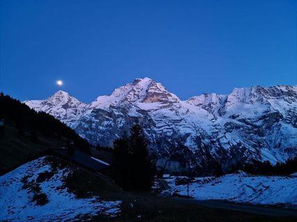 Sonnenberg Dormitories Mürren Exteriér fotografie