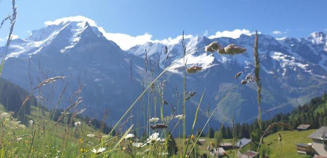 Sonnenberg Dormitories Mürren Exteriér fotografie